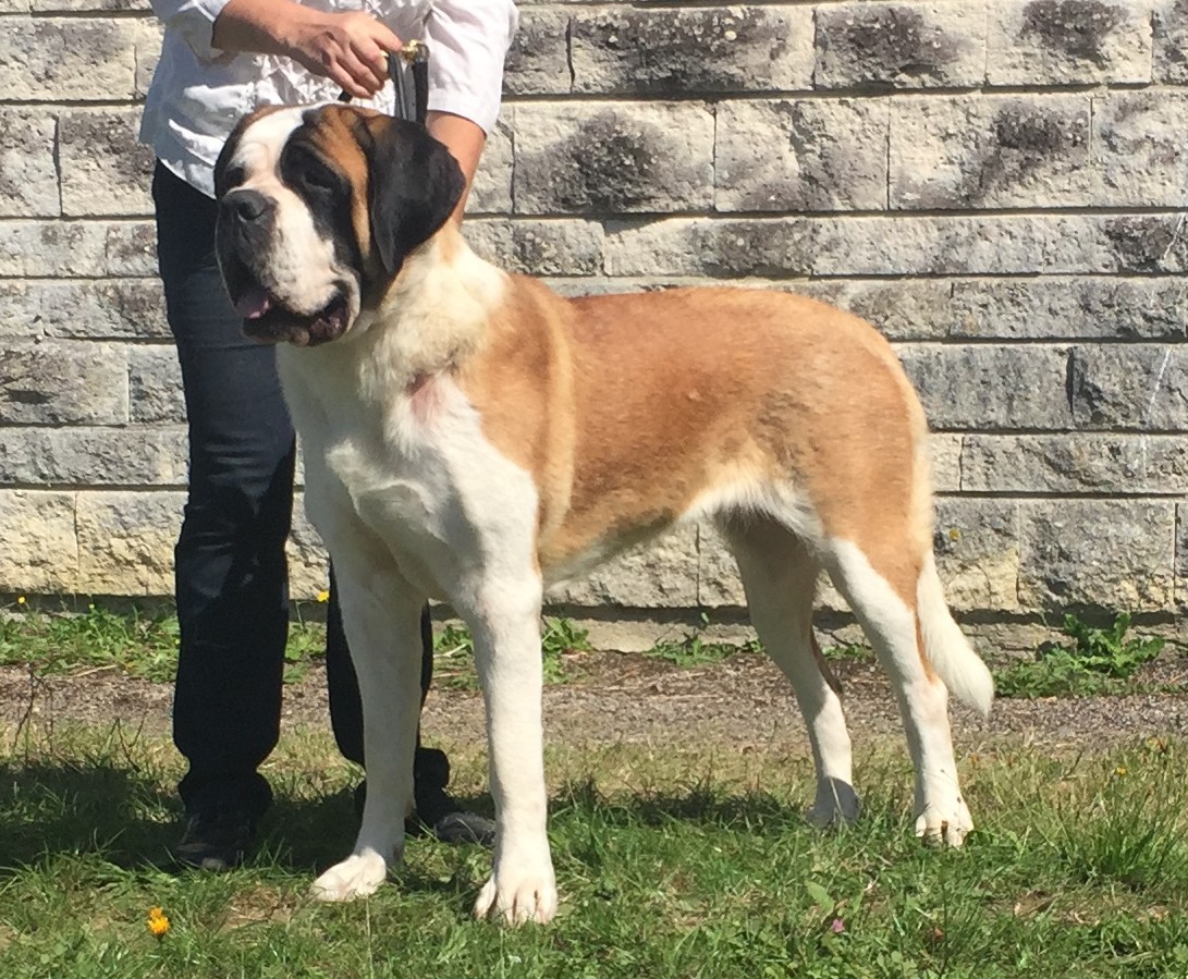 CH. Orka Du Domaine D'Arka